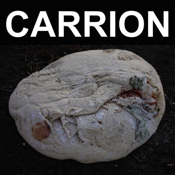 RECITATION - Carrion (Vinyl)